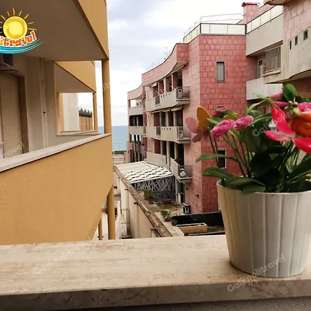 Rosa Virginia 3*